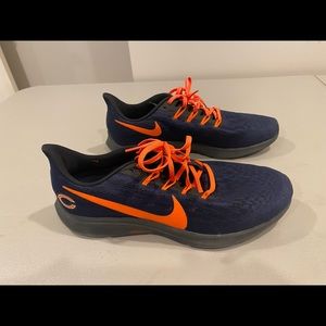 Nike Mens Chicago Bears shoes